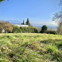 1.643m² Grundstücksfläche